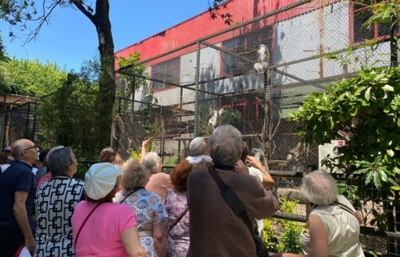 Visita Cultural ao Zoo da Maia
