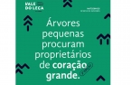 Câmara Municipal de Matosinhos oferece árvores para plantar no jardim ou quintal, estando candidaturas abertas até 1 de março