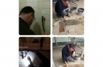 Trabalhos na Escola Básica do Padrão da Légua