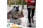 Inscrições para o Canitrail Cãominhada Matosinhos estão abertas até 20 de Setembro.