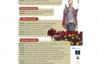 Festas de S.Martinho em Guifões de 2025