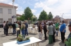 EXPOSIÇÃO DE MINI JARDINS EM GUIFÕES