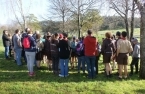 Plantação de árvores no Parque das Varas