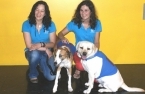 Projeto Prá Frente Sénior - Terapia Assistida por Animais